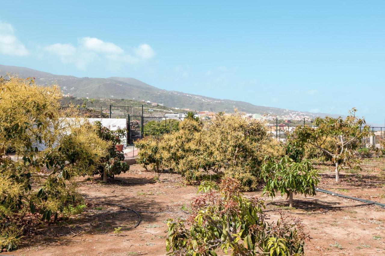 イコー・デ・ロス・ビノス Casa Quemahierro 1ヴィラ エクステリア 写真